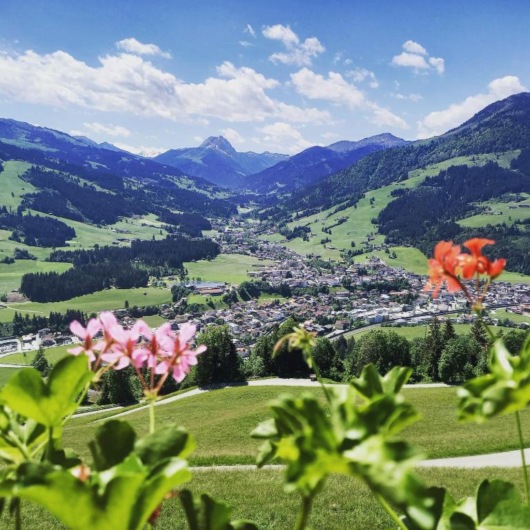 Kirchberg am Wechsel Panorama